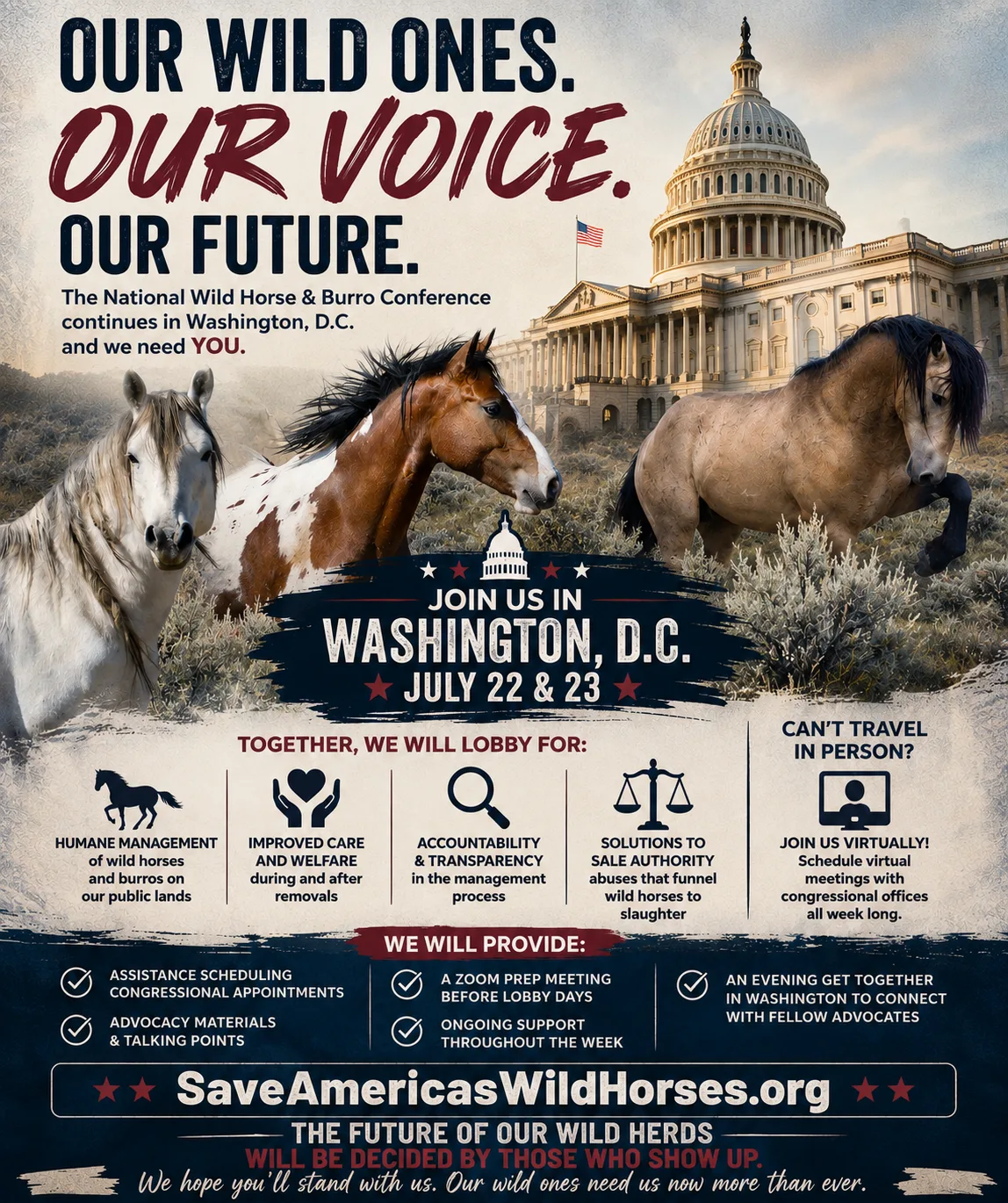Original 2026 lobbying-day information graphic