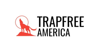 logo.jpeg